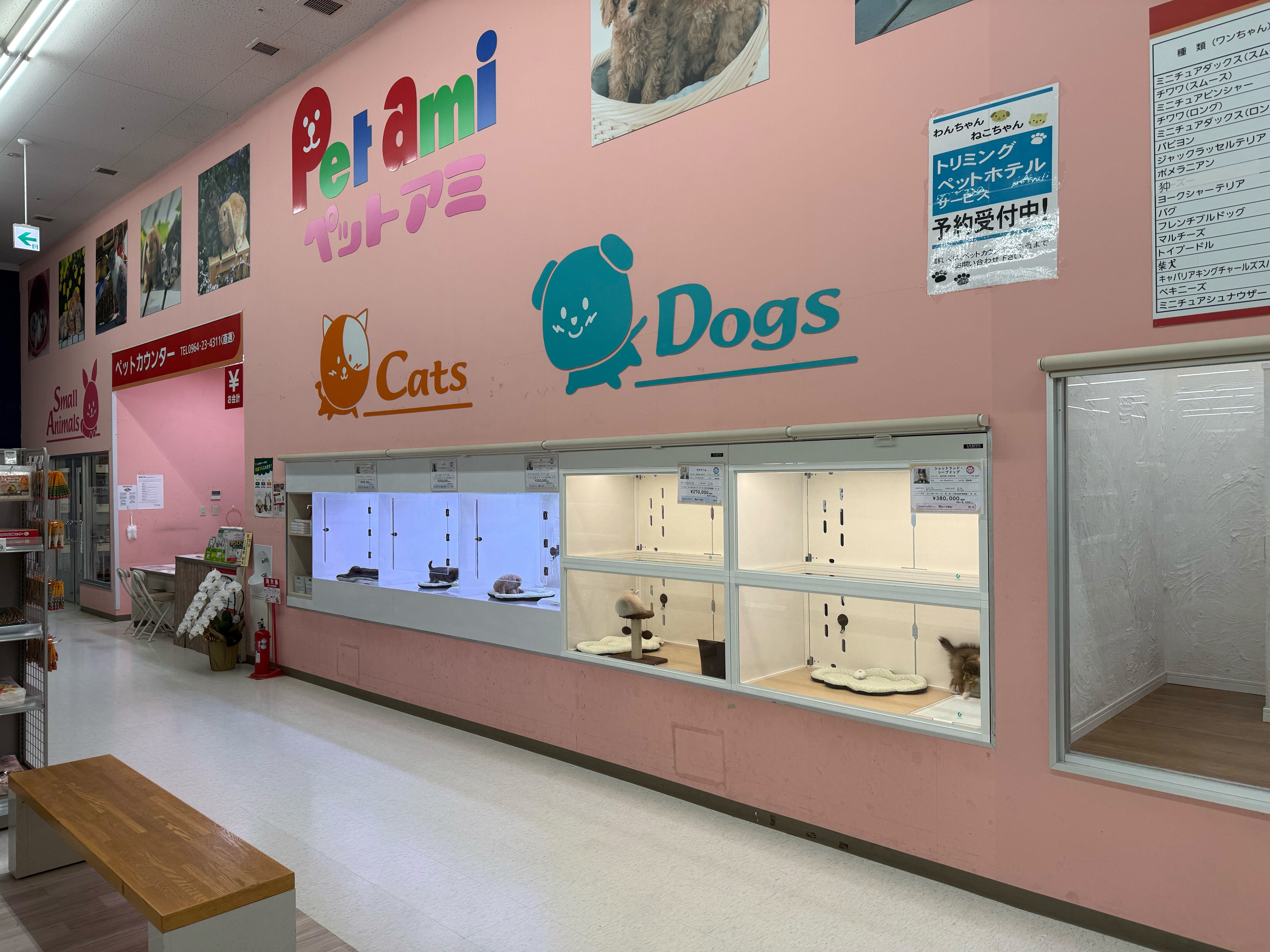 ドッグズホーム宇土店